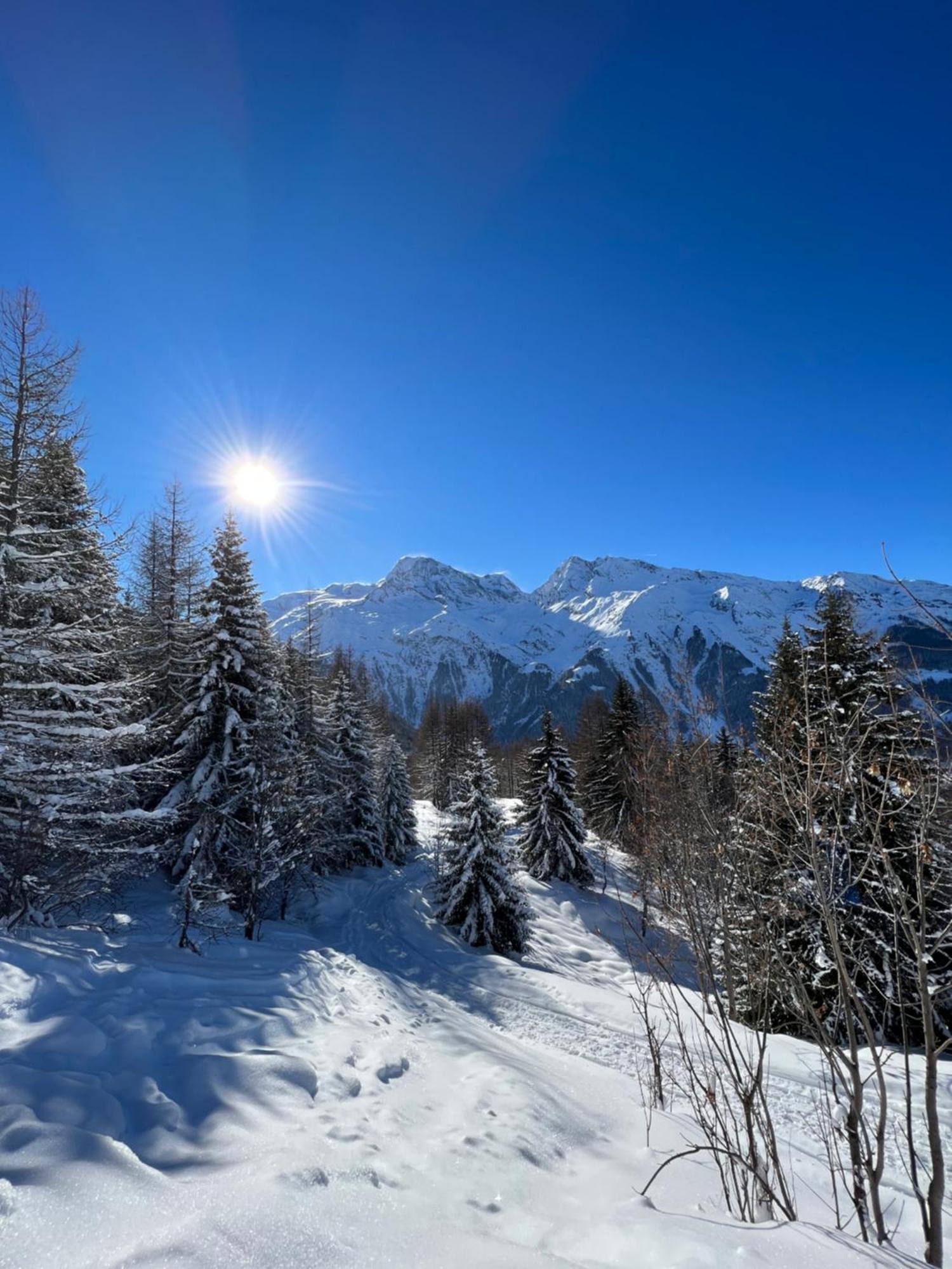 Chalet Altus Sainte-Foy-Tarentaise Exterior foto